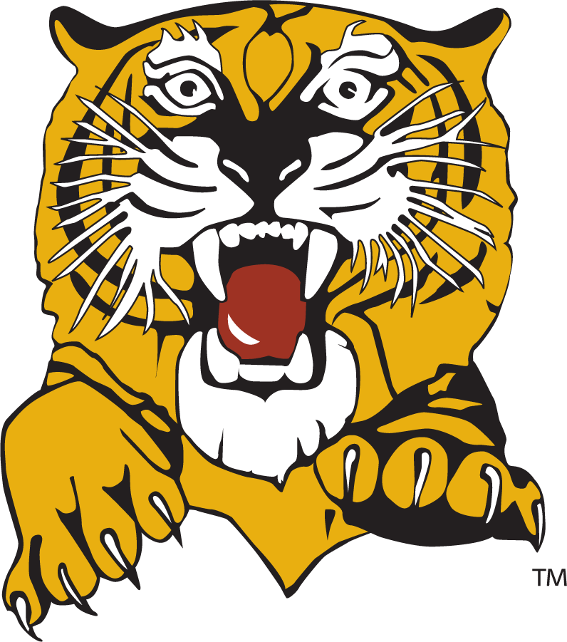 Missouri Tigers 1977-1995 Secondary Logo diy DTF decal sticker